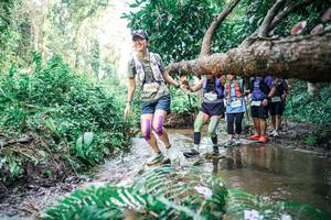 BIB: 
                            <button type="button" onclick="openModal(25478419)" class="btn btn-primary btn-sm float-right btn-popup" data-toggle="modal" data-target=".modal-high-quality">
                        <i class="fas fa-shopping-cart"></i> Add to Cart
                    </button>
                                            <button type="button" onclick="isThisMe(25478419, true)" class="btn btn-success btn-sm float-right btn-popup btn-isme hidden" data-toggle="tooltip" data-placement="bottom" title="นี่คือรูปของคุณใช่ไหม คลิกที่นี่เพื่อเอาเข้าอัลบั้ม">
                        <i class="fas fa-plus"></i> Add to album
                    </button>
                    <button type="button" onclick="isThisMe(25478419, false)" class="btn btn-warning btn-sm float-right btn-popup btn-isnotme hidden">
                        <i class="fas fa-ban"></i> Remove from album
                    </button>